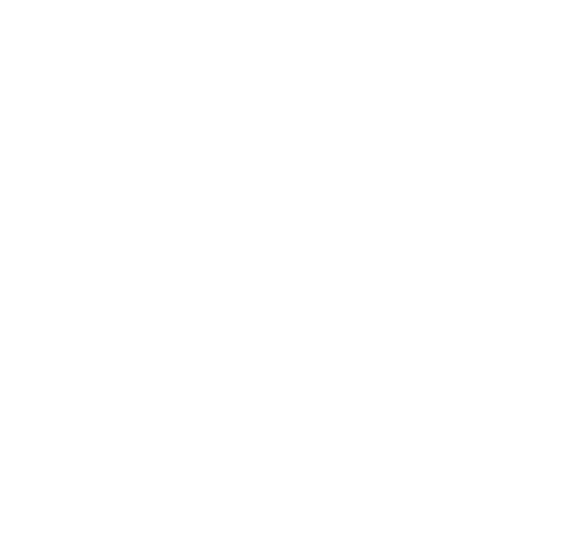 logo light